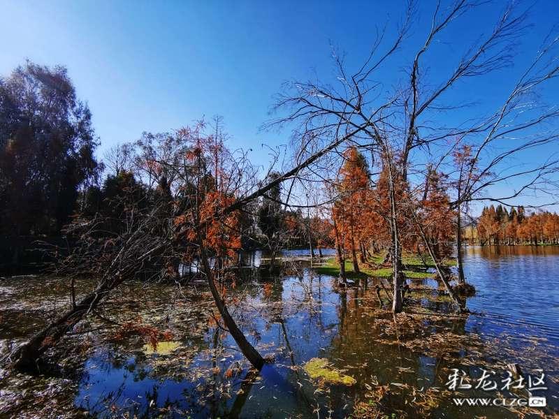 兆易创新量增价跌净利预降92% 溢价16倍收购尝苦果连续4年商誉减值